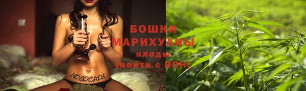 гидропоника Богородск