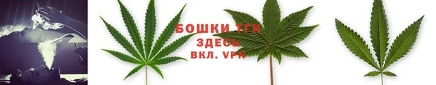 гидропоника Богородск