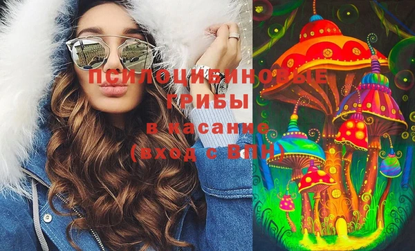 спиды Богданович