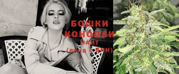 спиды Богданович