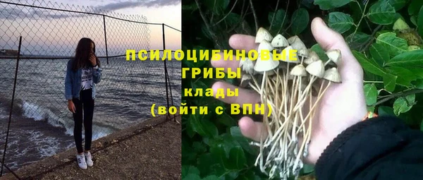 гидропоника Богородск
