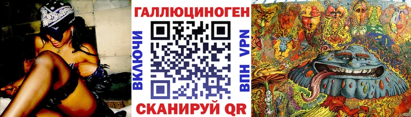 Псилоцибиновые грибы GOLDEN TEACHER Дмитров